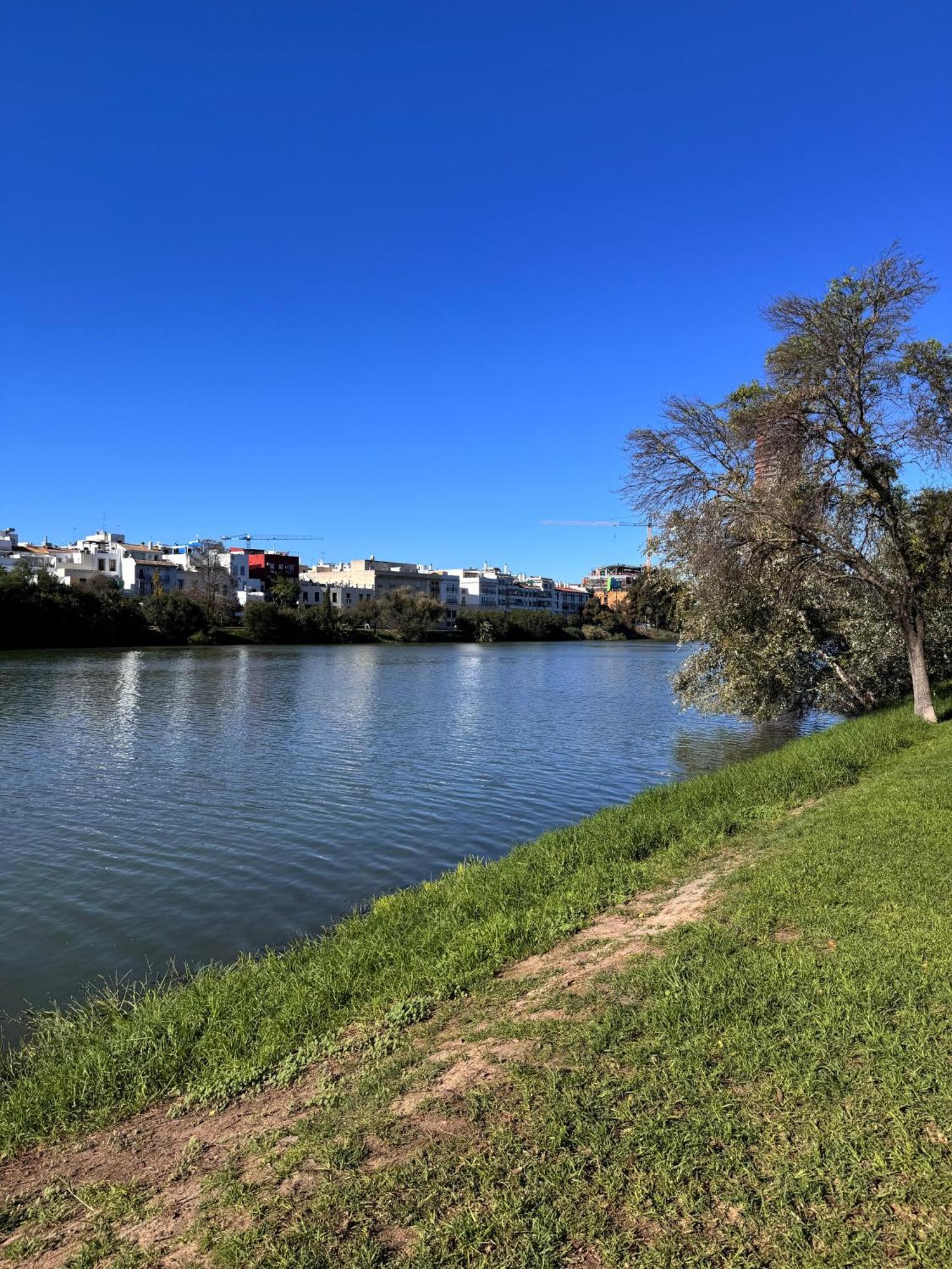 Luca Oliva Homes Riverside Studio Sevilla Exterior foto